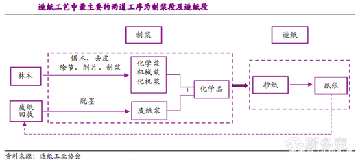 平均PE 4倍，PB 0.6倍的造纸行业真的那么差吗？——从造纸原料视角分析